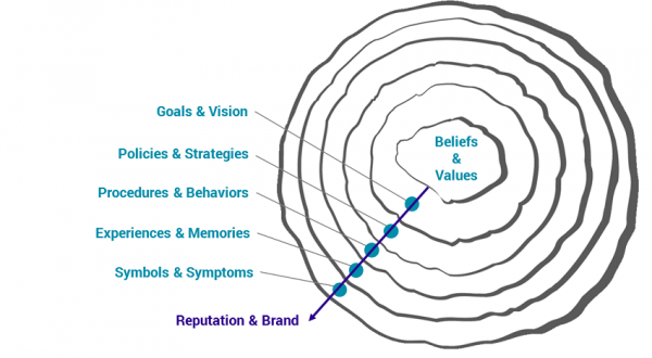 Culture-Model corvirtus