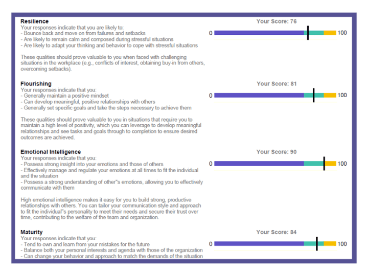 Entrepreneurial Profile Report Image-1