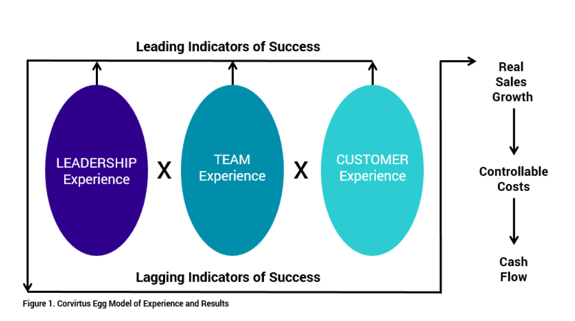 Key Results Map linking Employee Engagement and Experience to Profits and Growth