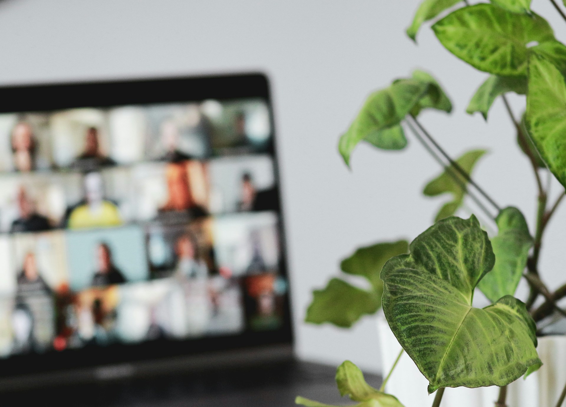 Laptop video conference