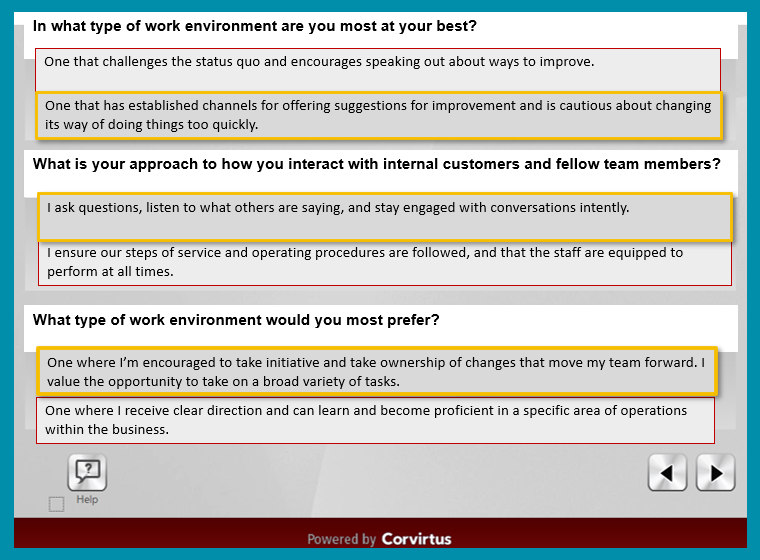 Example questions for a realistic job preview.